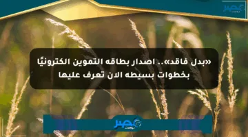 «بدل فاقد».. إصدار بطاقة التموين إلكترونيًا بخطوات بسيطة الآن تعرف عليها